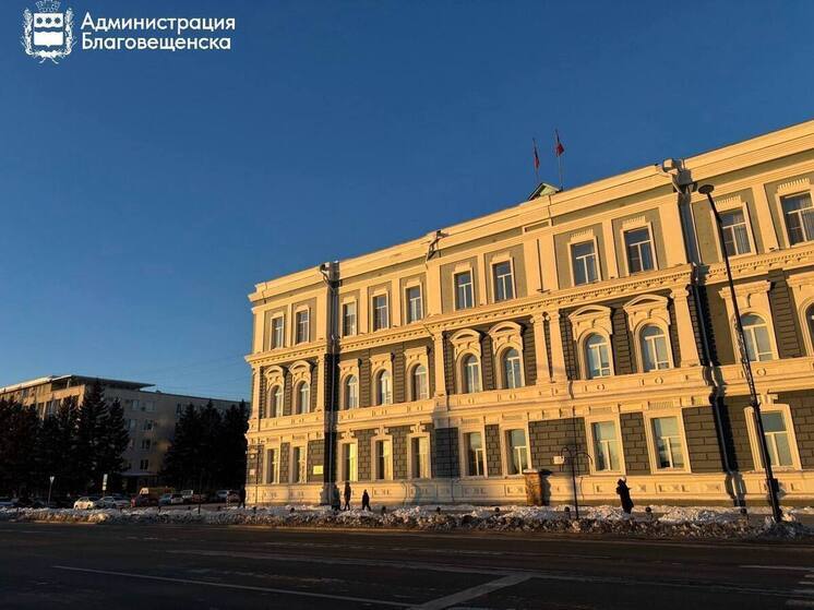 Участки под гараж и дачу представят на аукционе Благовещенска