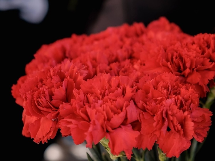 В зоне СВО погибли два жителя Волгоградской области