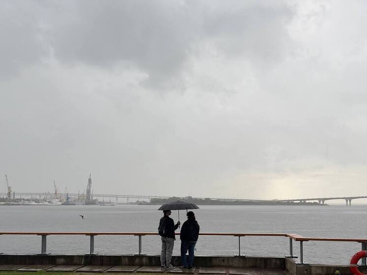 Зимний дождь ждёт петербуржцев 6 декабря