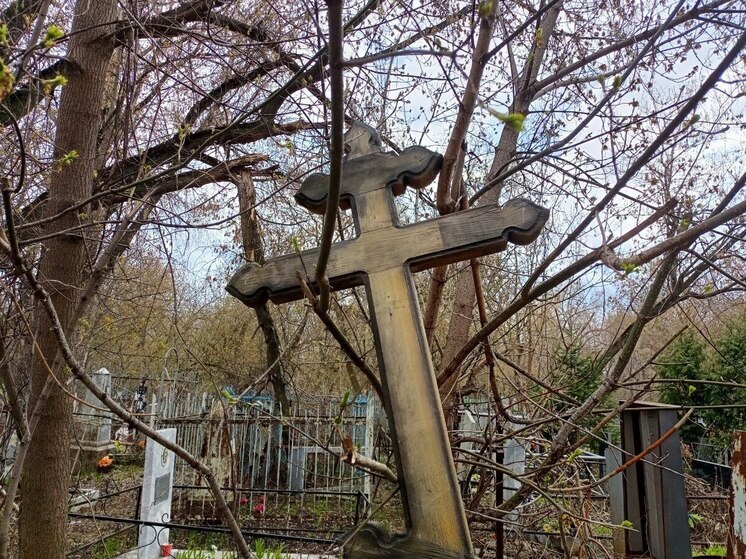 Под Самарой власти Красного Яра расторгли концессию на строительство кладбища