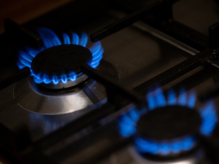 Колунов: Газовщикам хотят разрешить входить в квартиры через суд