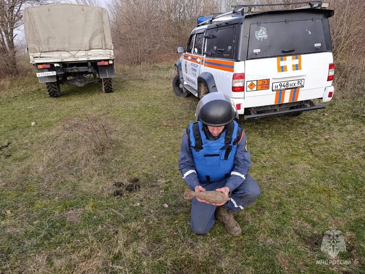 В Симферопольском районе уничтожили минометную мину времен войны