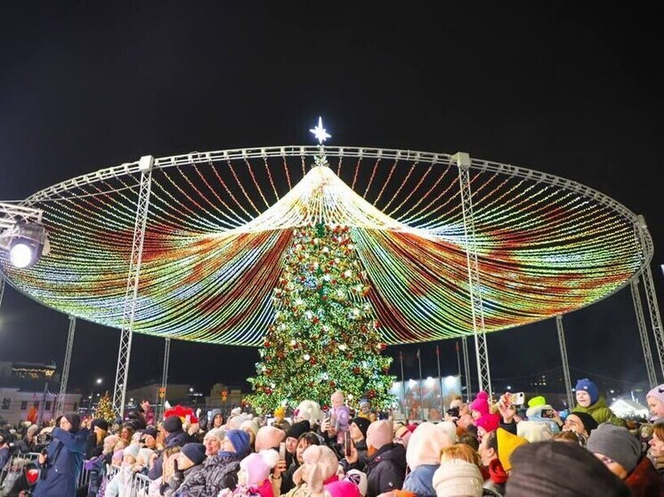 Беспалов объявил об официальном открытии новой ёлки в Туле