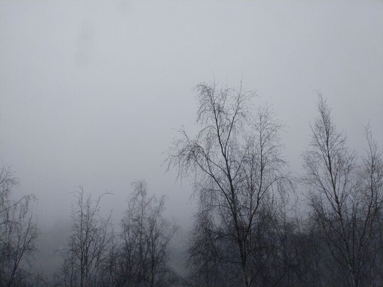 Синоптики обещали мокрый снег и температуру до +4 градусов 6 декабря