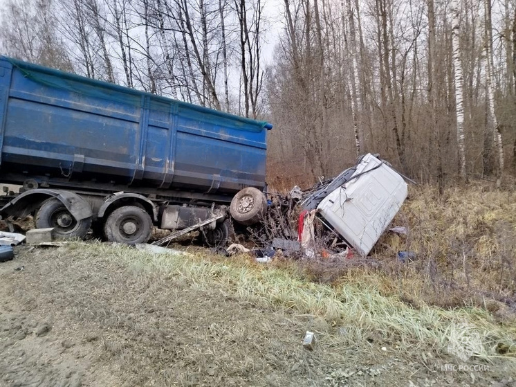 На трассе под Медынью столкнулись два грузовика: есть пострадавший