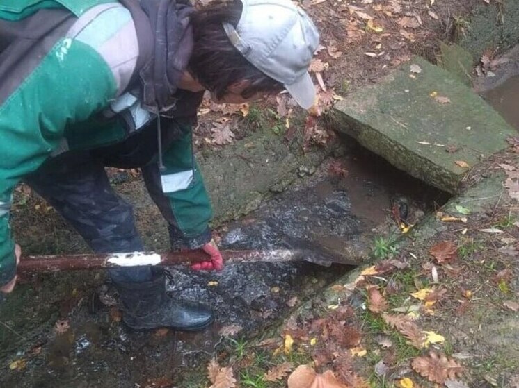 В Хостинском районе Сочи привели в порядок несколько улиц