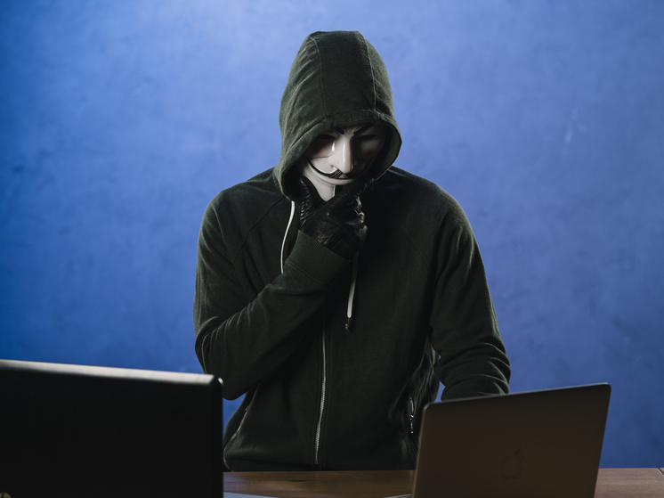 Аферисты похитили у жителей Красноярского края более 2,4 млрд рублей с начала 2025 года