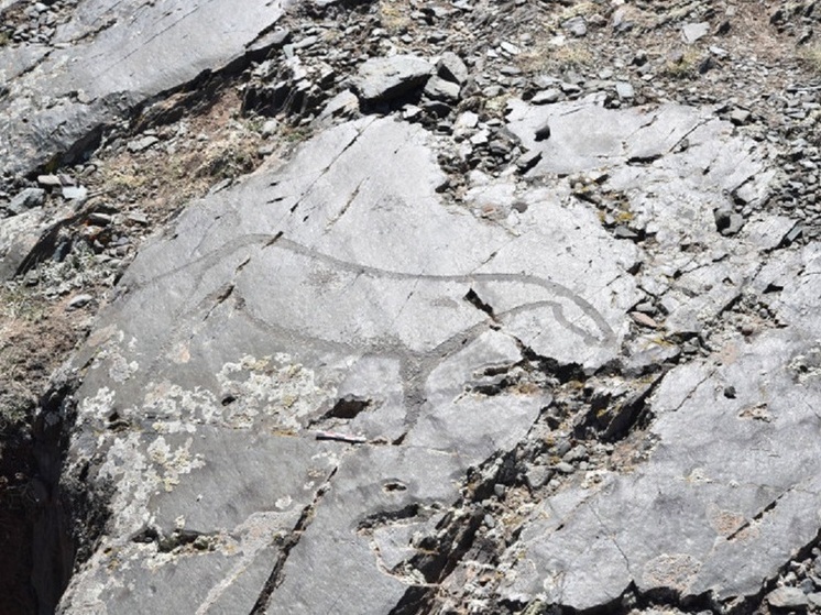 На Алтае обнаружены наскальные изображения эпохи верхнего палеолита