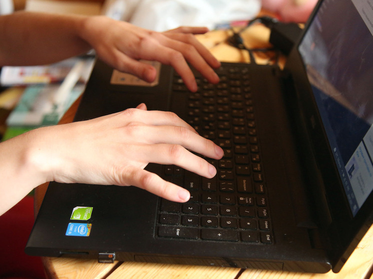 Школьники стали мишенью фишинга: мошенники создают поддельные порталы Минобрнауки