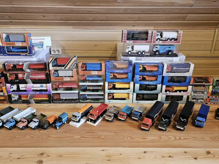 В Красноярске продают коллекцию из 68 советских авто в миниатюре за 280 тысяч