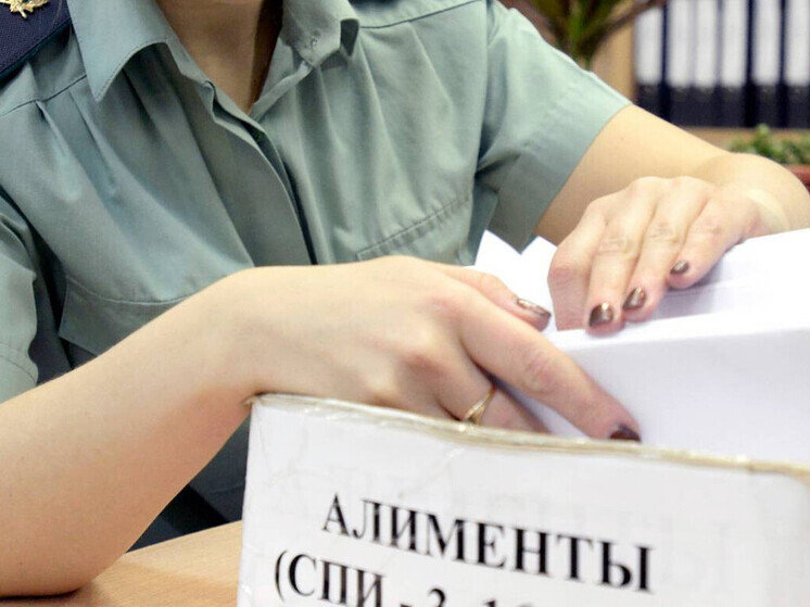 Жительница Палкинского района предстанет перед судом за многомиллионный долг по алиментам