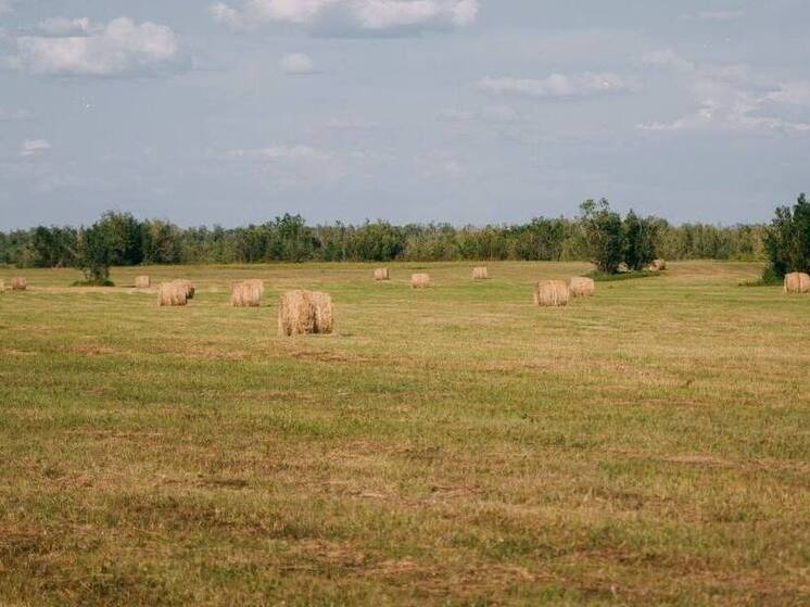 Якутия предложит изменить правила противопожарного режима: Ученые доказали пользу сельскохозяйственных палов