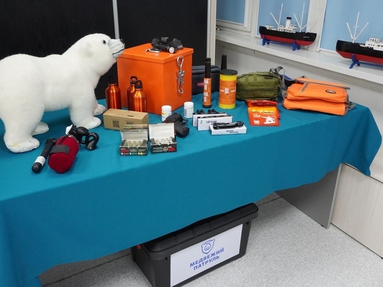 "Тревожный чемоданчик" для "Медвежьего патруля": в Арктике разработали средства нелетального отпугивания белых медведей