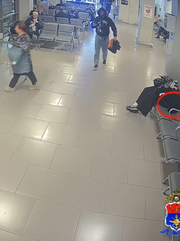 В Пулково туристка украла у сверловчанки дамскую сумочку