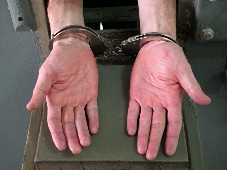 Житель Барнаула получил 12 лет колонии за призывы к терроризму