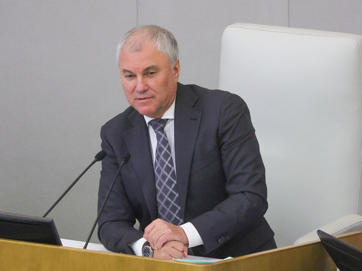 Володин: у стран, продвигающих нетрадиционные отношения, нет будущего