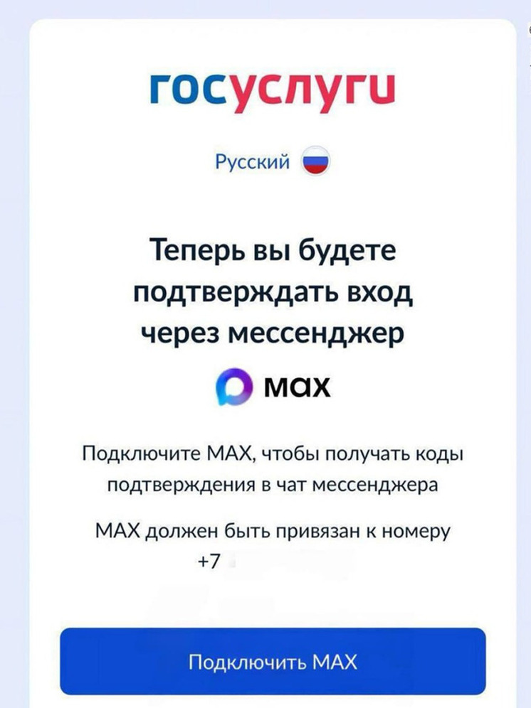 Вход на «Госуслуги» через СМС для владимирцев уходит в прошлое: только MAX