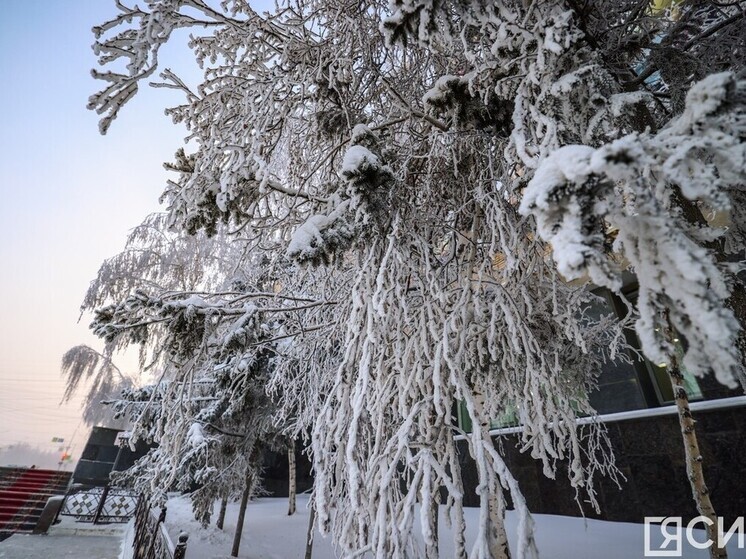Прогноз погоды в Якутии на сегодня, 7 декабря: снегопады и сильные морозы, на севере — метели