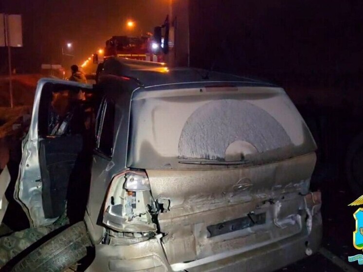 Трагедия на трассе: ДТП в Островском районе унесло жизни трех человек. Видео с места ДТП