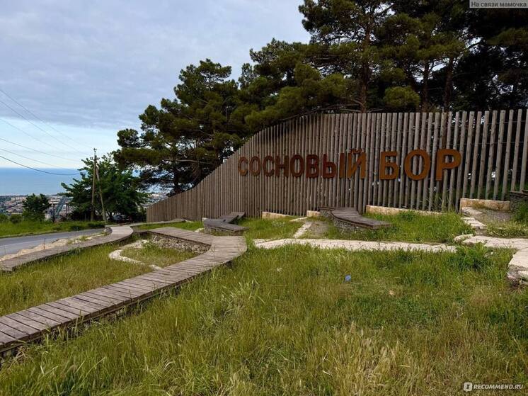 В Дербенте появился новый природно-исторический парк «Сосновый бор»