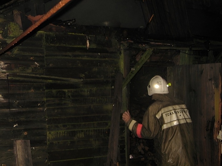 Пожар в Новохоперске Воронежской области ликвидирован без пострадавших