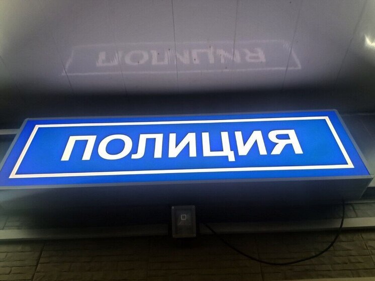 В Калининграде задержали рецидивиста, укравшего шуруповерт за 49 тысяч