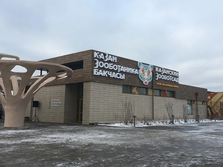 В Казанском зоопарке родился детеныш дамана