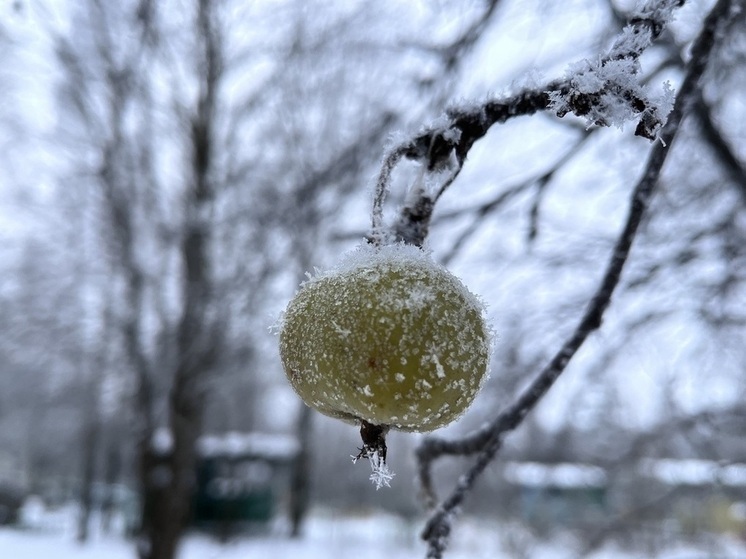 Жителей Вологодчины предупреждают о надвигающейся непогоде