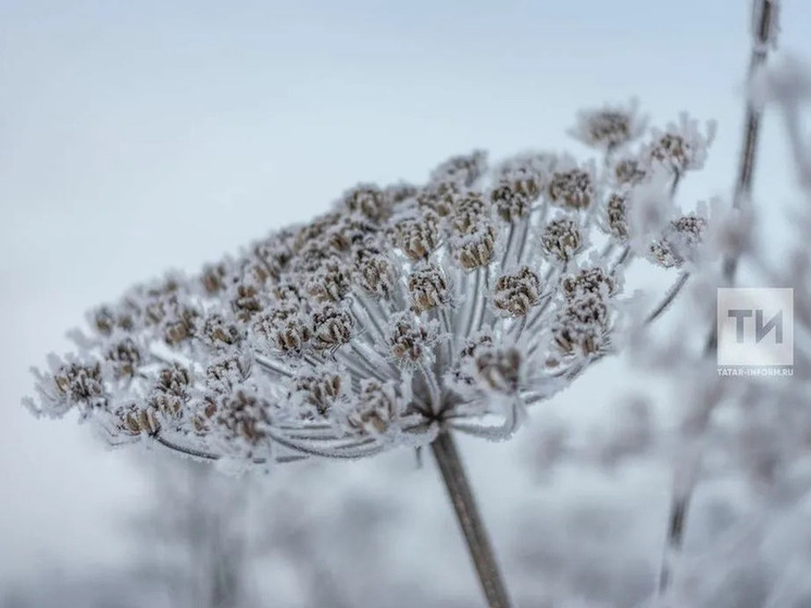 О резком похолодании после выходных предупредили жителей Татарстана
