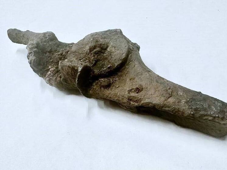 В Выборге обнаружили редкий артефакт: 400-летний колесцовый замок от пистолета