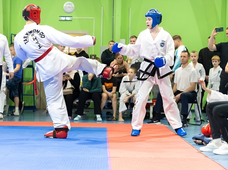 В Архангельске прошел  турнир по карате-кекусинкай «Северное сияние»