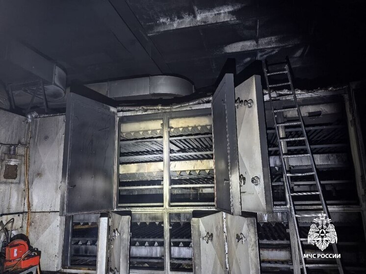 В Вологодском округе 5 декабря сотрудники пожарной службы боролись с огнем в цехе по производству кокосовой плиты