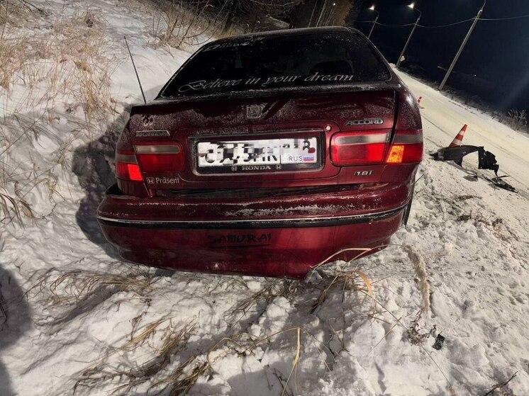 В Зиминском районе по вине водителя пострадало три пешехода