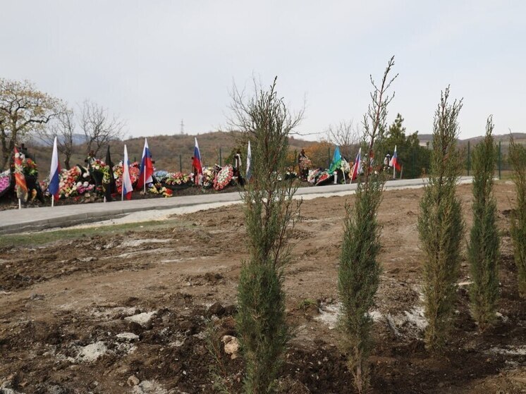 В Алуште высадили кипарисы в память о погибших бойцах СВО