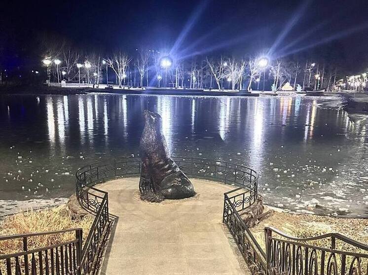 О прогнозе погоды на Сахалине в воскресенье, 7 декабря, рассказали синоптики