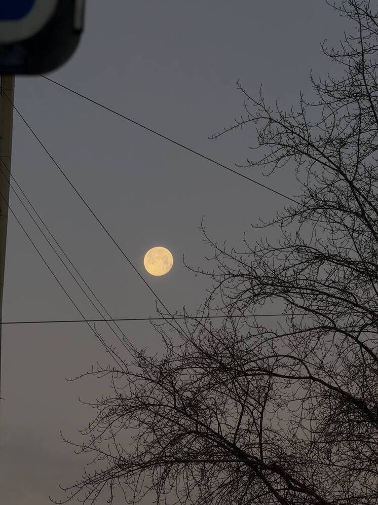 Жители Новосибирской области увидели последнее суперлуние 2025 года