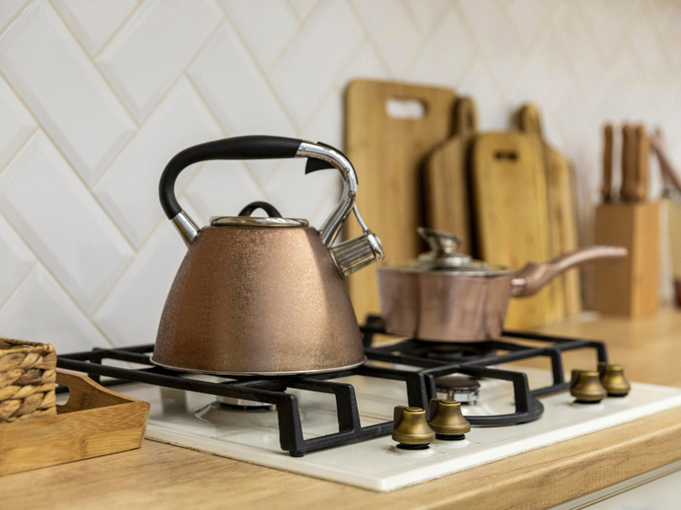 Тамбовчан предупредят дважды: как будет работать новый порядок проверки газового оборудования в квартирах