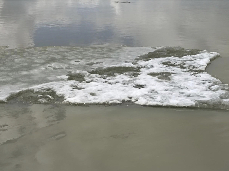 В Новосибирской области рыбаки вывезли со льда более 300 застрявших оленей