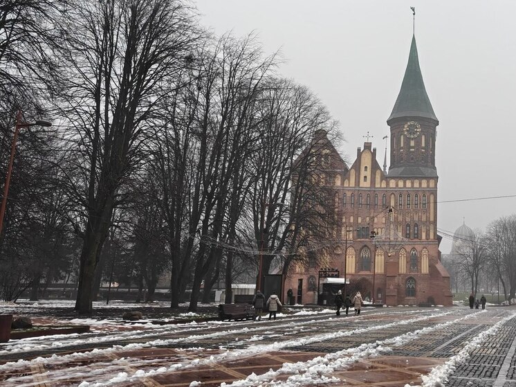 В Калининграде обсудили, как обеспечить безопасность в новогодние праздники