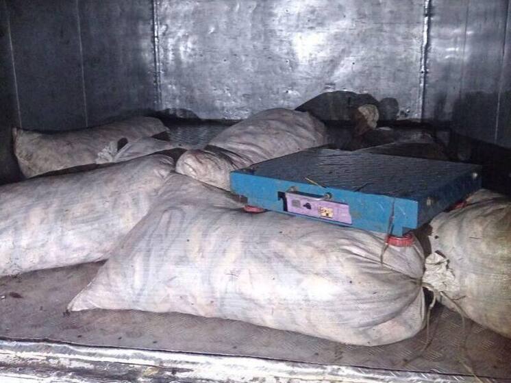 В Астраханской области сотрудники ГАИ пресекли незаконную перевозку биоресурсов