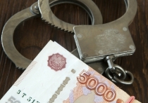 В преддверии Международного дня борьбы с коррупцией, который отмечается 9 декабря, в Запорожской области состоялась тематическая пресс-конференция Следственного комитета