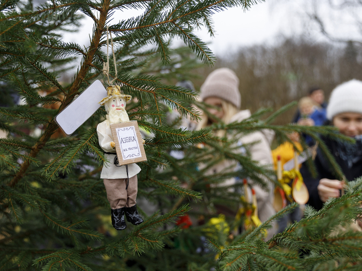 В Ясной Поляне украсили главную новогоднюю ёлку заповедника