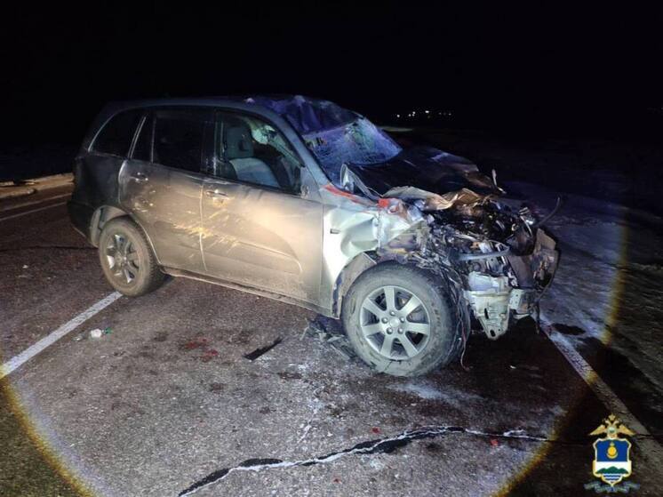 Водитель и пассажир пострадали в ДТП с лошадью на трассе под Улан-Удэ