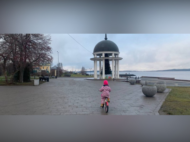 В ротонде на городской набережной Петрозаводска появилась новогодняя елка