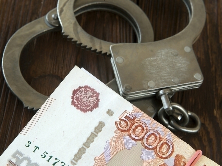 В преддверии Международного дня борьбы с коррупцией, который отмечается 9 декабря, в Запорожской области состоялась тематическая пресс-конференция Следственного комитета