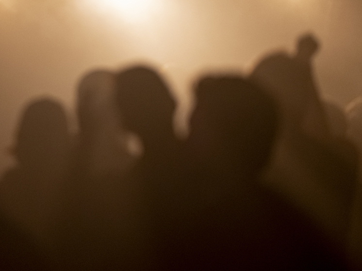 В Петербурге у подростков изъяли дубинки, складной нож и два газовых пистолета