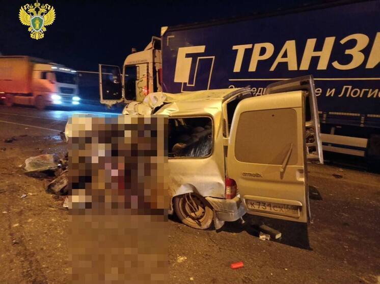 По факту ДТП с тремя погибшими в Рязанской области возбуждено уголовное дело