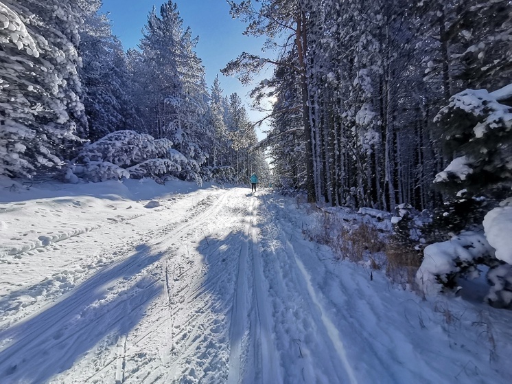 По народным приметам 7 декабря 2025 года отмечается день Катерины Санницы. Православная церковь вспоминает христианскую мученицу Екатерину Александрийскую, жившую на рубеже III и IV веков.