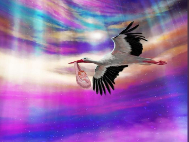 Китайские пары не ждут аиста, а сами едут за детишками в Мурманск: северное сияние прочит будущему ребенку счастливую судьбу