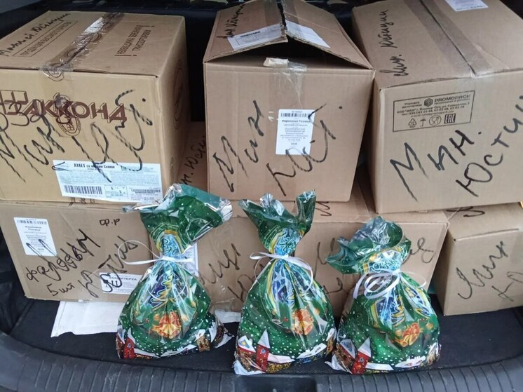 Сотрудники Минюста Марий Эл подарили праздник детям из Запорожской области